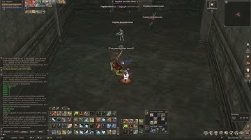 Lineage2 Tower of insolence