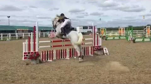 Blakney Lad II Winning! POYS 2017 Novice GP Qualif...