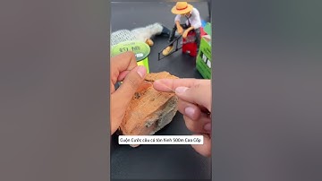 Cuộn Cước câu cá tàn hình 500m Cao Cấp #cauca #fishing #docauca