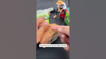 Cuộn Cước câu cá tàn hình 500m Cao Cấp #cauca #fishing #docauca