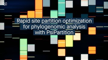 PsiPartition: improved site partitioning with parameterized sorting indices and Bayesian optimiz...