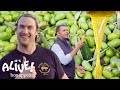 Brad Makes Olive Oil (In Italy!) | It's Alive | Bon Appétit
