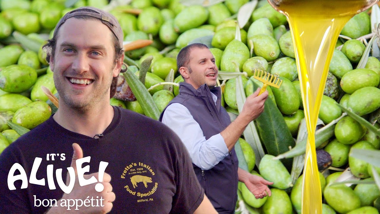 Brad Makes Olive Oil (In Italy!) | It's Alive | Bon Appétit