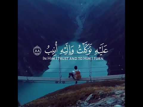 وما توفيقي الا بالله ياسر الدوسري القرآن الكريم سورة هود