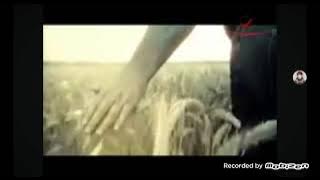 فاصل روتانا مصرية