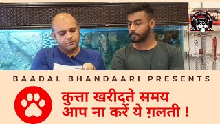 NEVER Do These Mistakes While Buying A Dog!|Baadal Bhandaari|Puppy Mill |9878474748|10 Days Old Pet