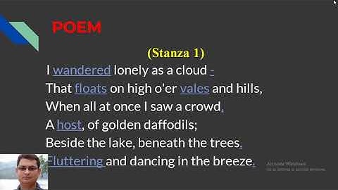 The Daffodils | Alt English || HS 1 ||