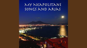 Rodolfo Falvo: Dicitencello vuje