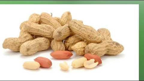 Std 7 Social Science Unit 13 Class 52 Whiteboard ASD