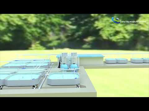 Aquaculture Systems by Dahui Aquaculture - video from Dahui Aquaculture
