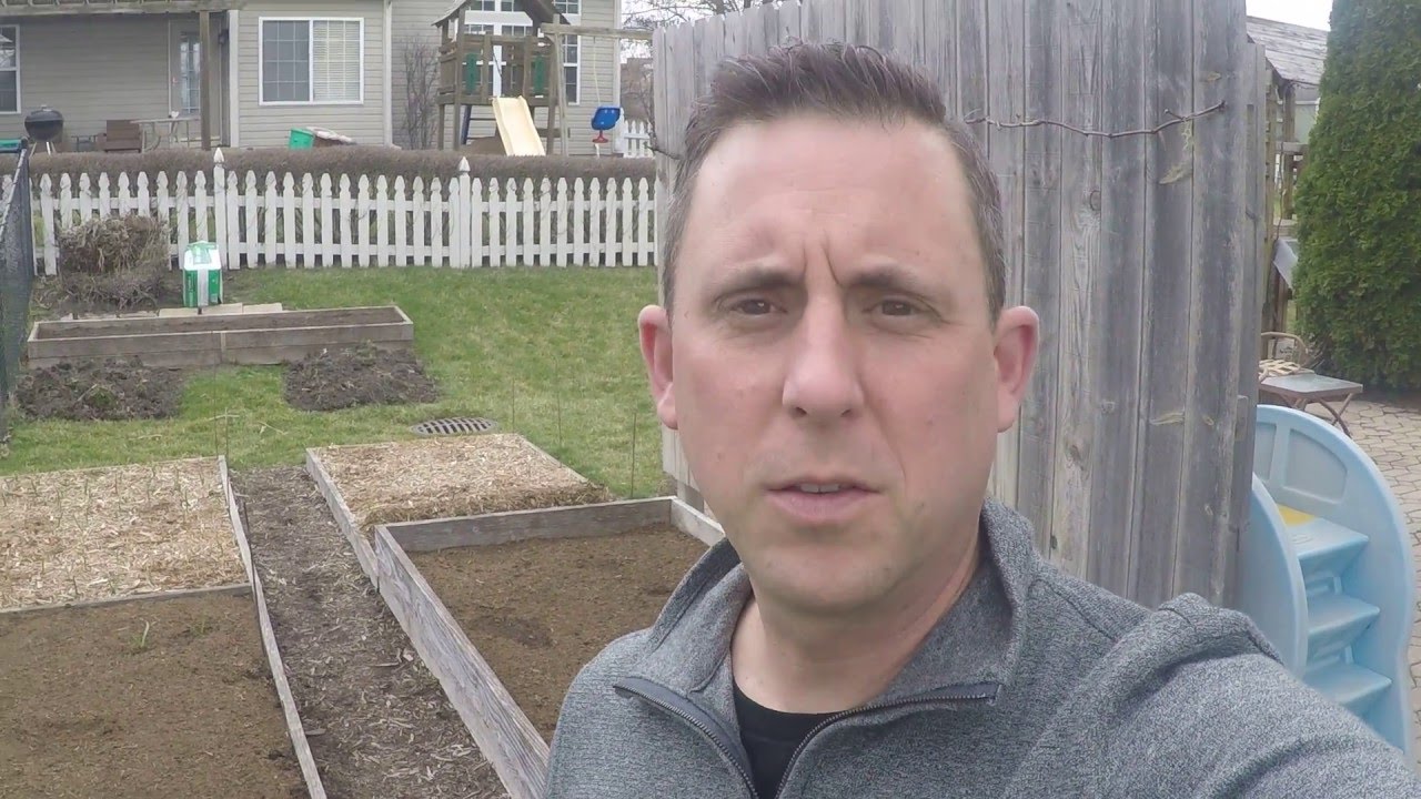 How Early Does Garlic Sprout?