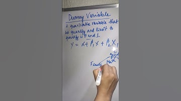 Dummy Variable#econometrics