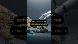 Download Lagu Trivia Time! MP3