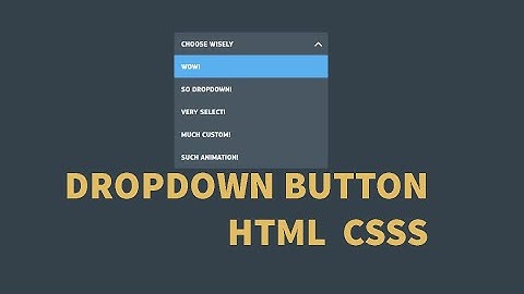 Animated Dropdown  button hover effect | Dropdown menu with HTML and CSS