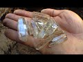 Digging clear quartz crystals