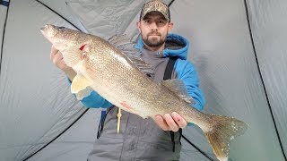 Huge Walleye Caught on JT Panfish Snare