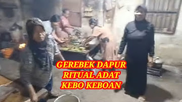 CEK SINYAL DULU & NGINTEP PAWONE  RITUAL ADAT KEBO KEBOAN ALAS Malang
