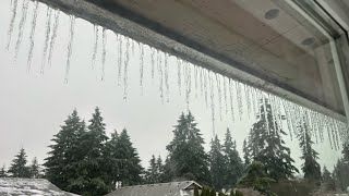 ICE ICE BABY! The Vancouver, WA Ice Storm of 2024🥶🌨️🧊