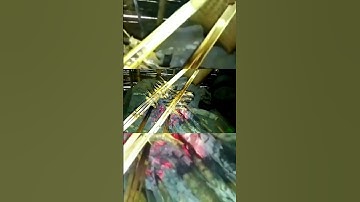 cá suối nướng #shorts