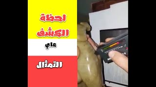 لحظة الكشف عن التمثال #الفرعوني ووزنه اثناء تنفيذ عملية البيع