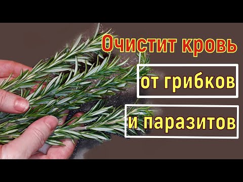 Чистые сосуды, отёков больше НЕТ, от паразитов и грибков простой действенный способ.