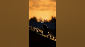 شهر رمضان الذي انزل فيه القران  ياسر الدوسري #ياسر_الدوسري #رمضان_2025 #تلاوة_خاشعة #شهر_رمضان