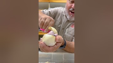 Hatching a Super Rare Baby Snake🤩🙌