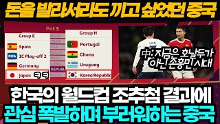 [중국반응] 돈을 발라서라도 끼고 싶었던 중국, 한국의 카타르 월드컵 조추첨 결과에 관심 폭발 부러운 중국