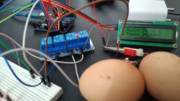 I Built A Smart Egg Incubator Using Arduino #chicken #arduinoproject #egg #arduino