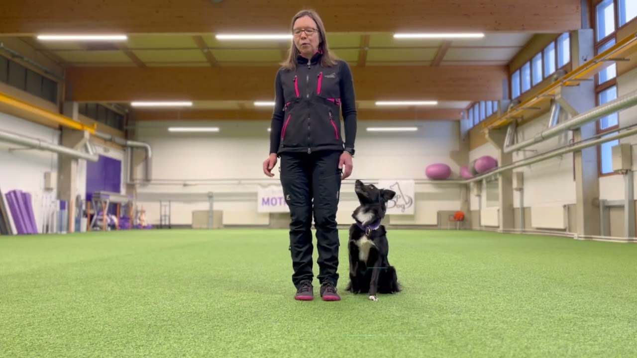 Sylvin Toko vk 1 2026