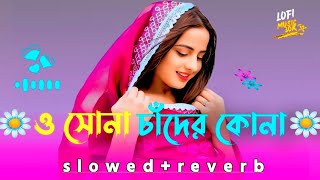 ও সোনা চাঁদের কোনা ভাইরাল  Dj | o Sona Chander Kona Dj | Tiktok Viral Dj Song | Bangla Dj Gaan 2025