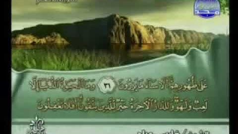 006 -سورة الانعام فارس عباد
