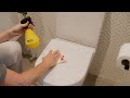 How to clean your toilet