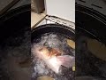 Очень вкусная была!!!
