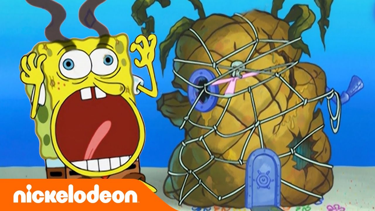 ⁣Bob Esponja | 30 minutos de reformas do Abacaxi do Bob Esponja! | Nickelodeon em Português