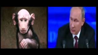 Путин начал третью мировую войну. Путин "потерял связь с реальностью" Война в Крыму Путин начал третью мировую войну. Путин "потерял связь с реальностью" Война в Крыму