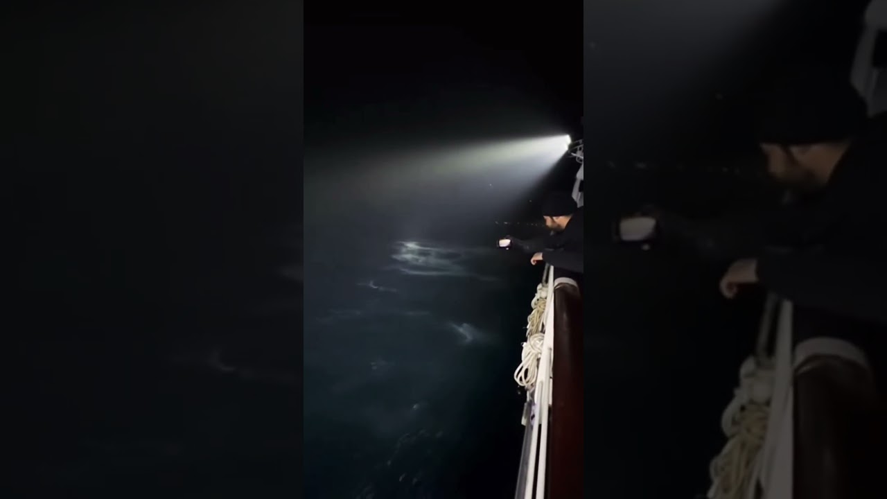 Midnight Deck Cam - Massive Shadow Follows Our Ship #DeepSeaMystery