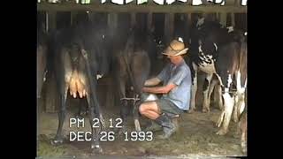 E    Torquato tirando leite fazenda Boa Vista 1993