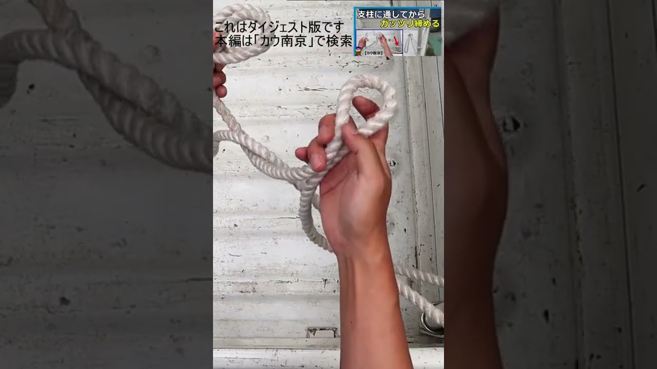 牛の結び方 | 青木 真理 |本 | 通販 | Amazon