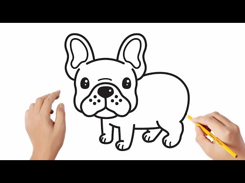 Vídeo: Com Dibuixar Un Bulldog