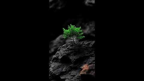 المنشاوي - سورة يوسف برواية خلف عن حمزة