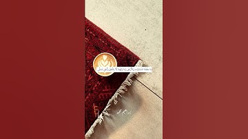 سورة الأحقاف #شاشه_سوداء #اكسبلور #quran #حالات_الواتس_اب #قرآن #القرآن_الكريم #ادعموني  #explore
