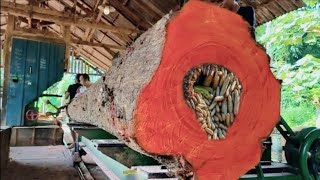 видео: Я никогда раньше не знал, как распиливать большие и длинные куски красного дерева. картинка: Я никогда раньше не знал, как распиливать большие и длинные куски красного дерева.