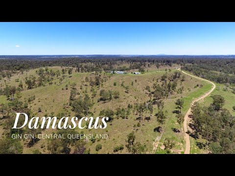 Damascus Gin Gin Qld