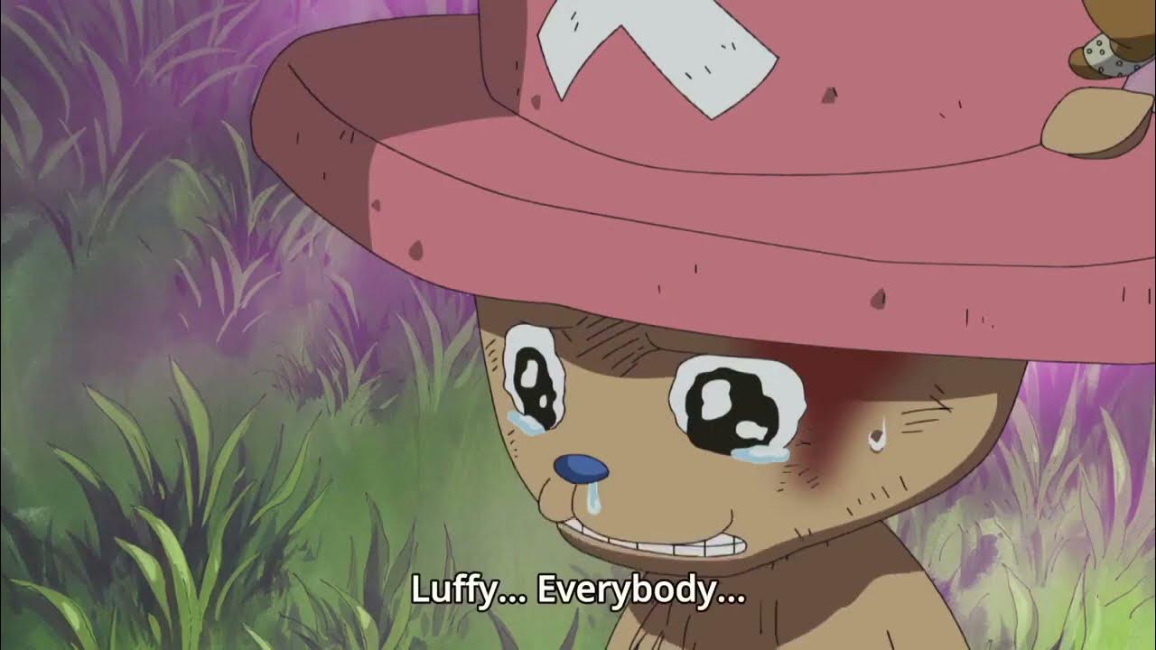 [ONE PIECE] CUTE AND FUNNY CHOPPER MOMENT YouTube