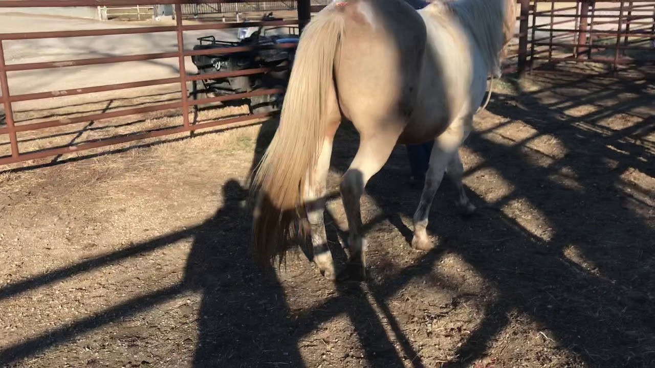 Kansas kill pen YouTube