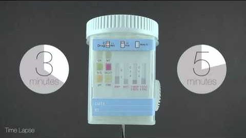 LaneWorkSafe Tutorial -- Split Specimen Urine Drug Screen Cup
