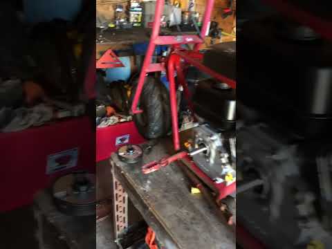 Rebuild :Doodle bug