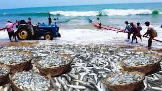 Wow!! Commercial Mullet Trawling Net, Catch Hundreds Tons Fish on the Beach