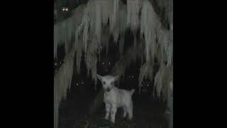 Bleood 2slimey Che Yrsci Rok type beat